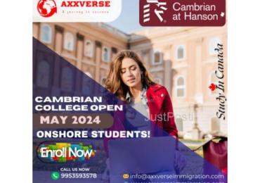 Canada visitor visa process