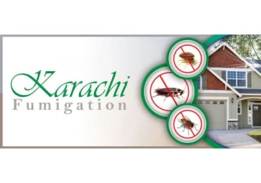 Fumigation Service