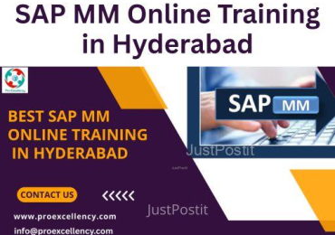 SAP MM Online Training in Hyderabad
