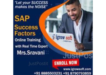 SAP Success Factors Online training institute Hyderabad
