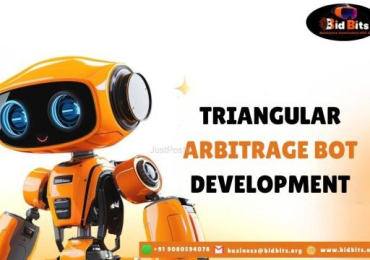 Develop Your Triangular Arbitrage Bot With Our Bidbits