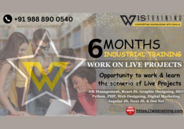 WIS Training – Industrial training in Mohali