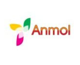 Anmol Bakery Machines