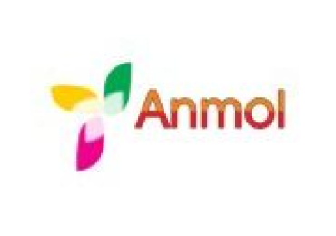 Anmol Bakery Machines