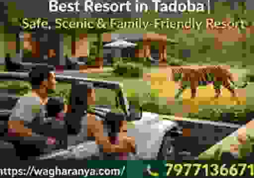 Best Resort in Tadoba