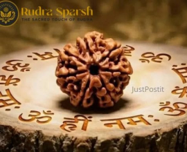 Buy 7 Mukhi Rudraksha