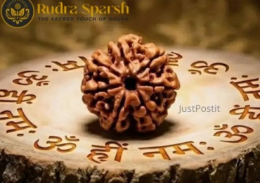 Buy 7 Mukhi Rudraksha