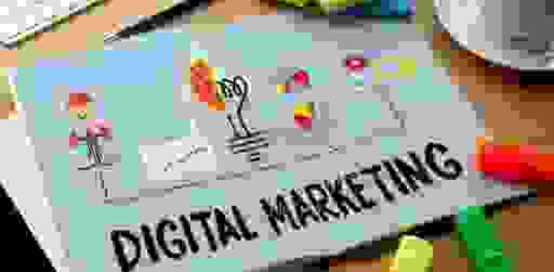 Hire SEO Freelancer