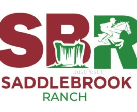 Horse Riding Training in Bangalore | Saddlebrook Ranch
