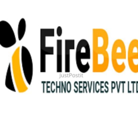 Interactive Game Software Development