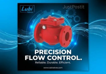 Lubi Valves