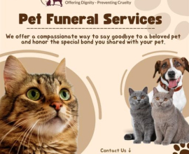 Pet Funeral Services in Bangalore