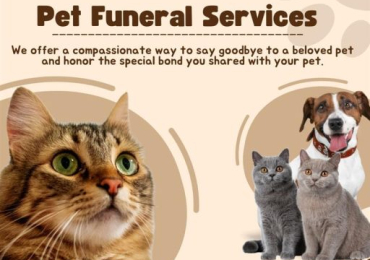 single listings 9 Pet Funeral Services in Bangalore