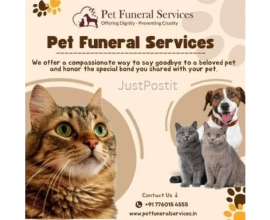 Pet Funeral Services in Bangalore