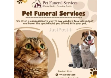 single listings 11 Pet Funeral Services in Bangalore