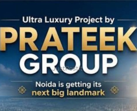 Real Estate Company in Noida