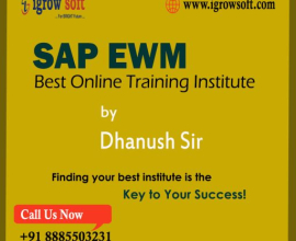 SAP EWM Online Training By Dhanush Sir from Igrowsoft
