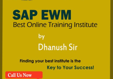 SAP EWM Online Training By Dhanush Sir from Igrowsoft