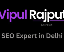 SEO Expert in Delhi – Vipul Rajput