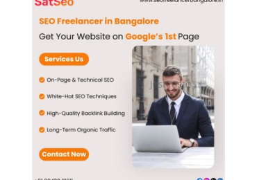 SEO Freelancer in Bangalore