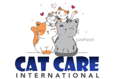 Snazyy Cat