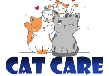 Snazyy Cat