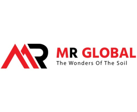 MR Global
